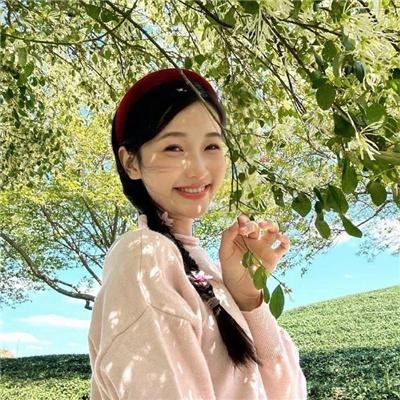 蚂蚁的梦想